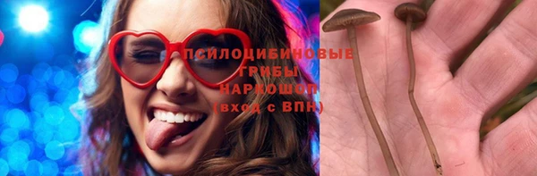 мяу мяу мука Арсеньев