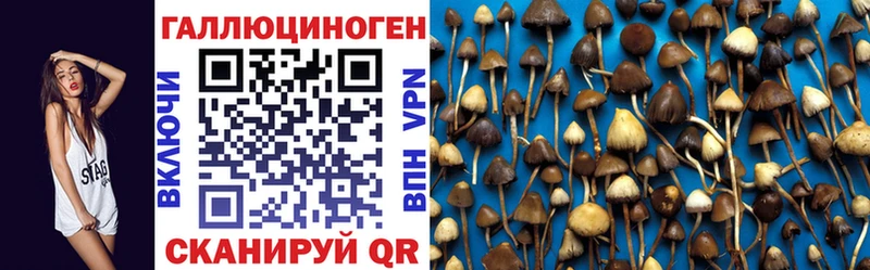Купить закладки Тимашёвск Псилоцибиновые грибы ЛСД